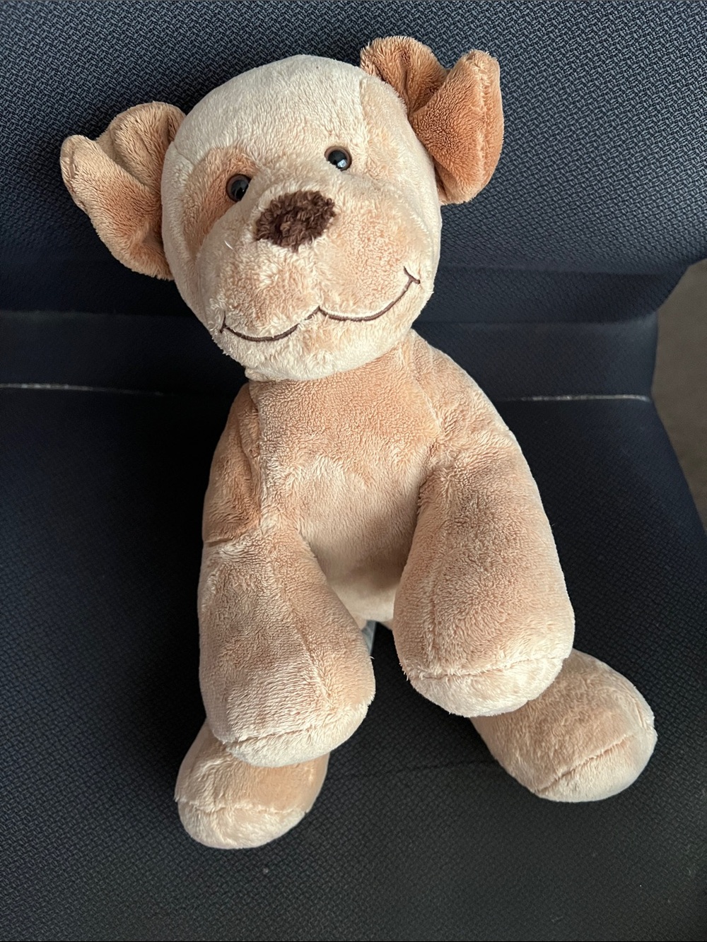 Build-A-Bear Tan Plush Puppy Stuffed Animal